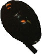 egg, top view