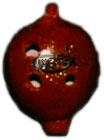 red icthus